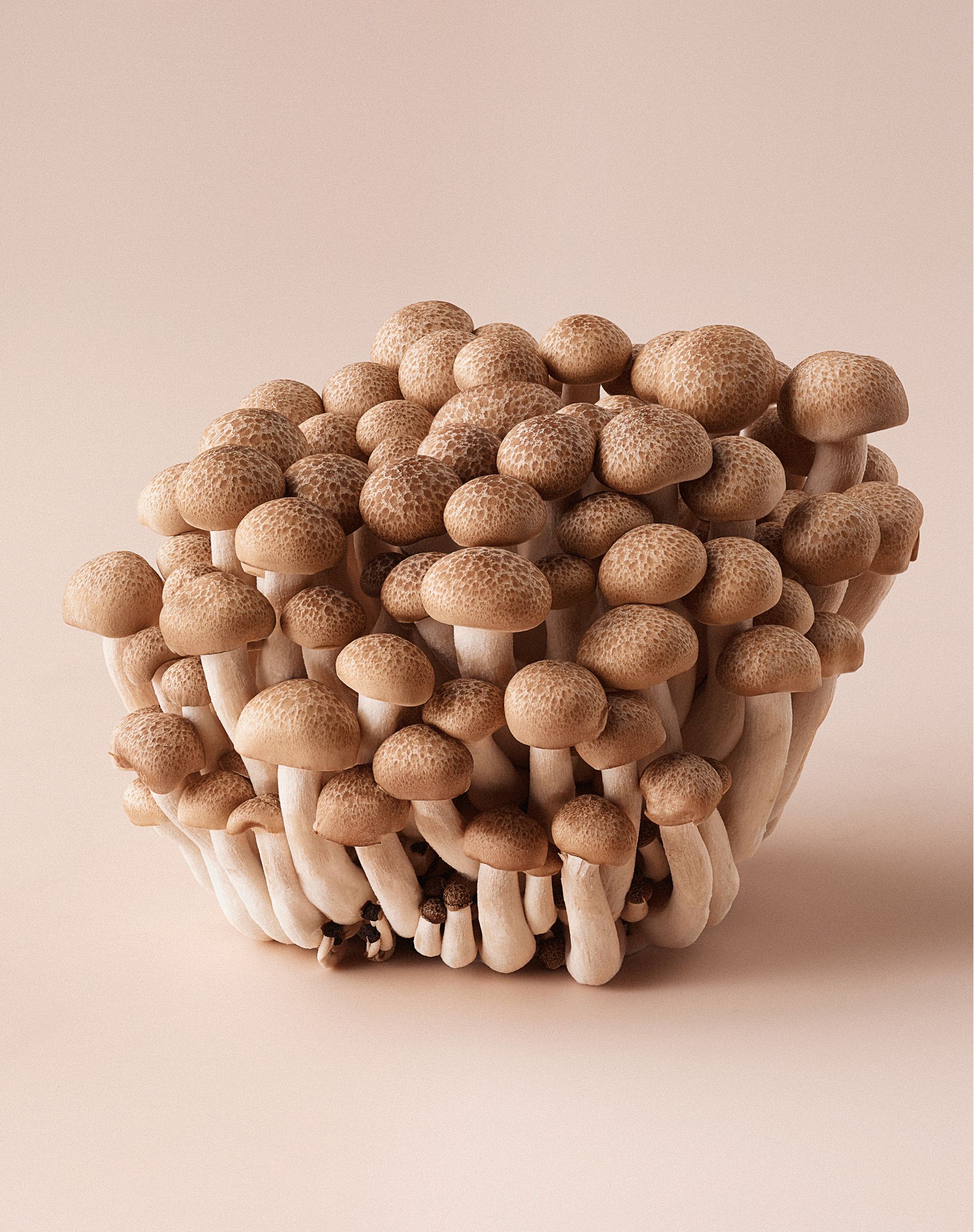 A cluster of small brown mushroom-like objects with white stems.