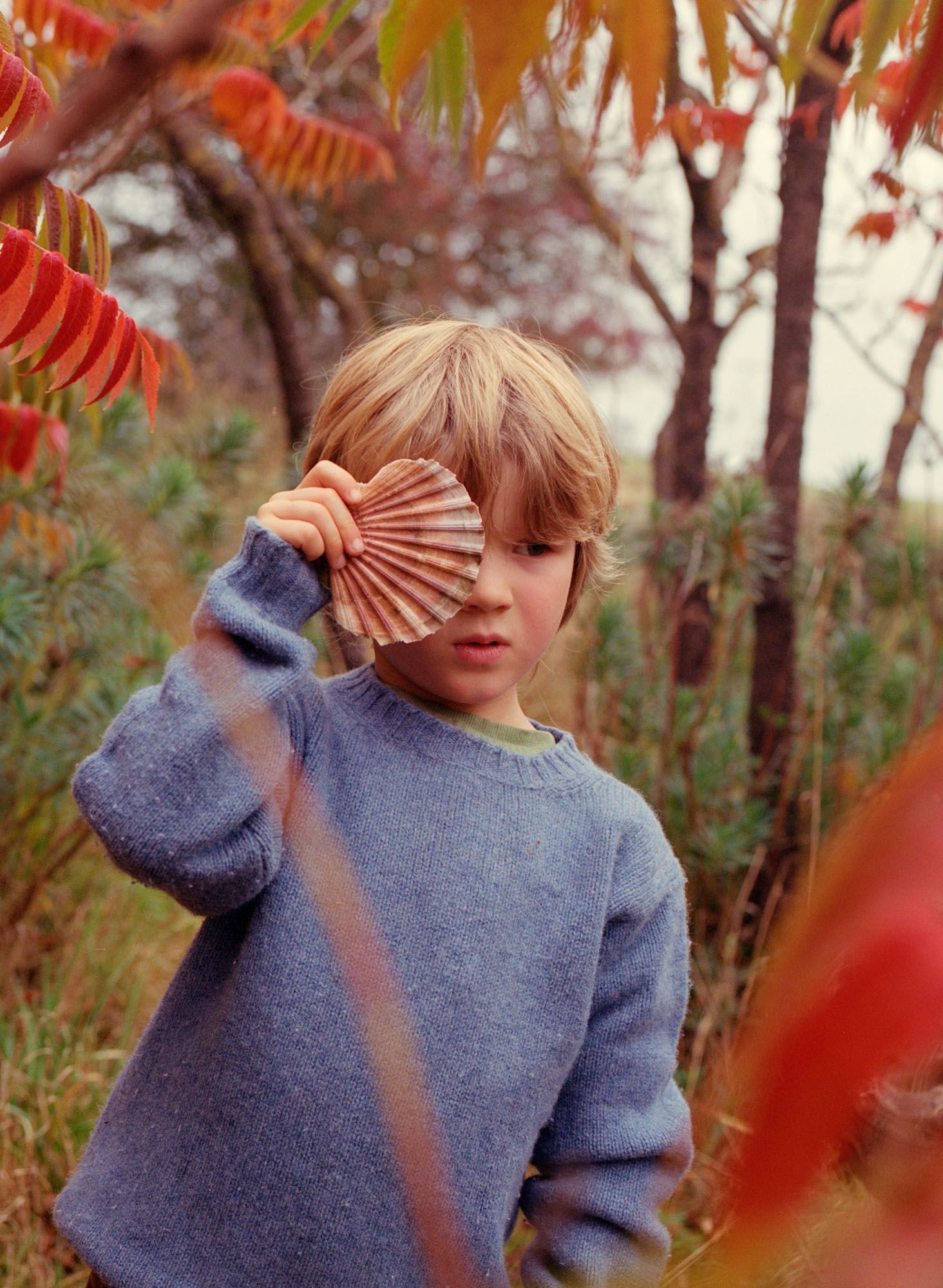 A young boy with blonde hair and a blue sweater holding a large, brown, fan-shaped shell up to his eye, in a natural, outdoor setting with trees and foliage in the background.
