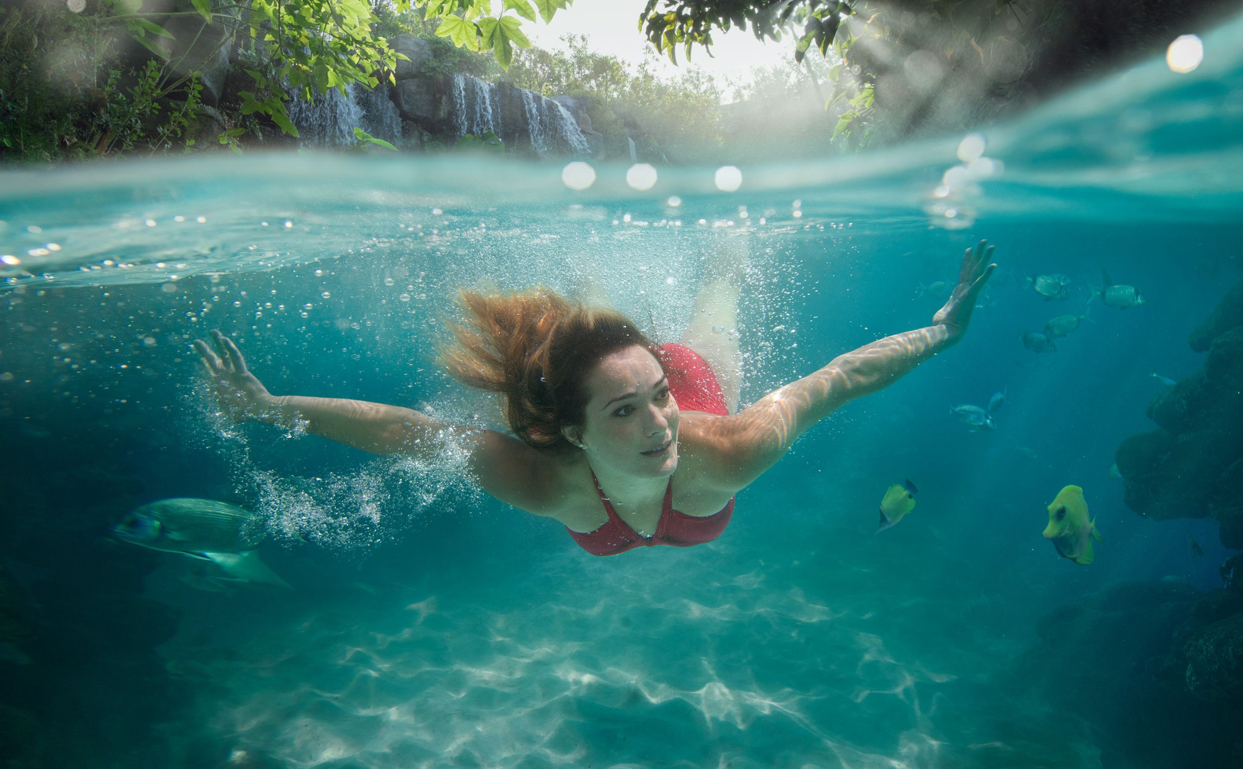 A person swims underwater among tropical fish in a coral reef.
