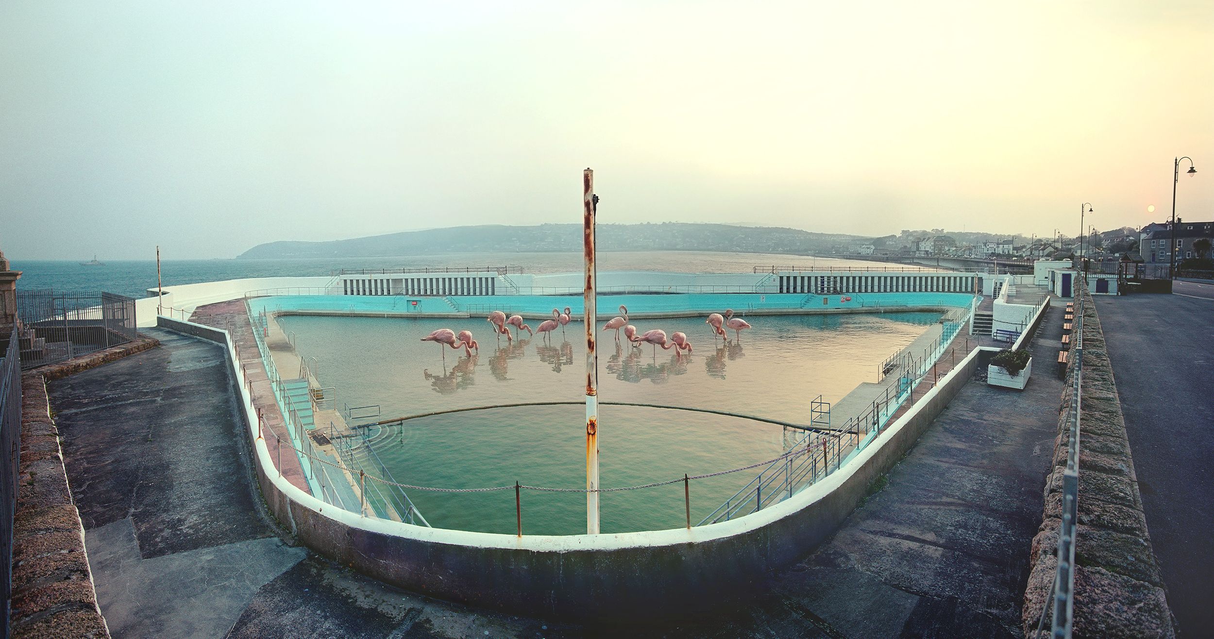 A deserted swimming pool with pink flamingos in the water, surrounded by a cityscape.