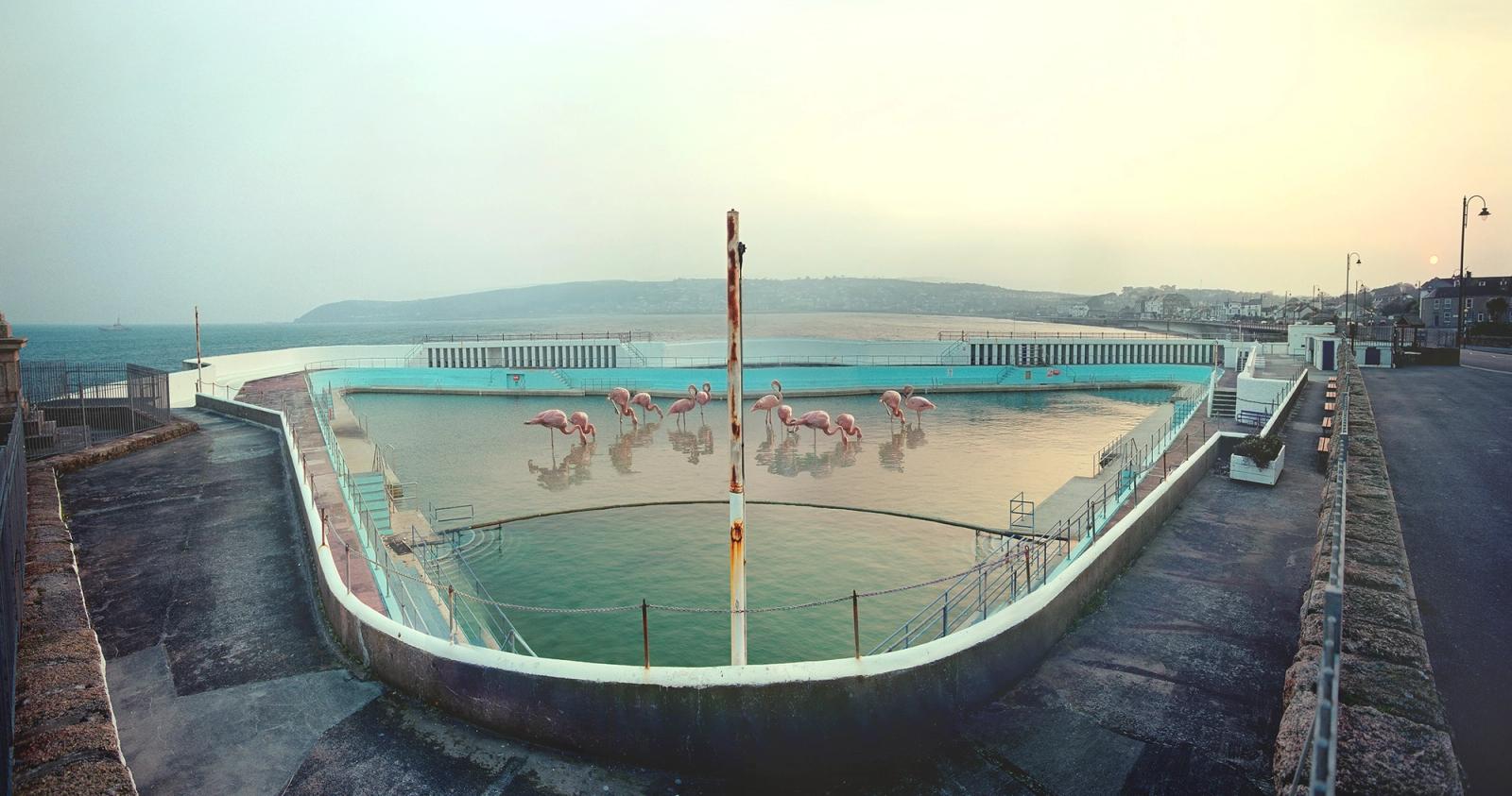 A deserted swimming pool with pink flamingos in the water, surrounded by a cityscape.