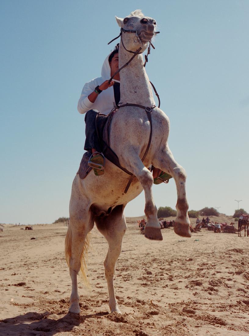 A person riding a white horse on a sandy beach, wearing a white hoodie and blue jeans.