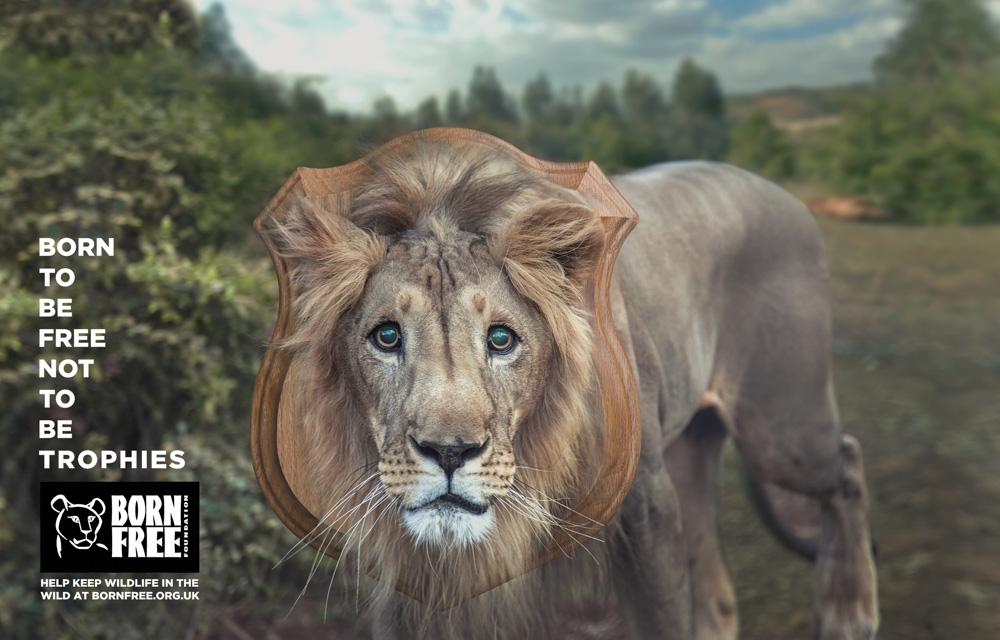 A lion wearing a 'Born Free' campaign-style, mock-award, wooden shield around its neck, in a natural, outdoor setting.