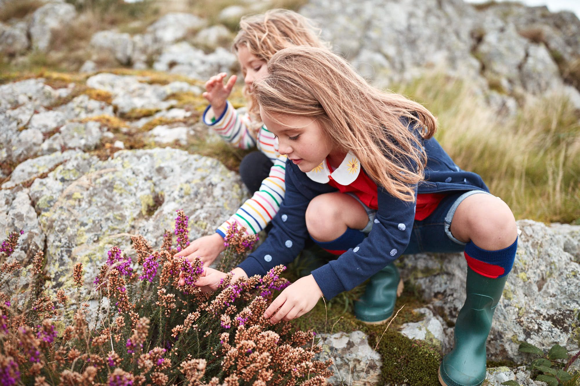 A young girl with long blonde hair kneels among wildflowers, her eyes fixed on a patch of purple heather. Her face is intent, her fingers reaching out to touch the delicate.