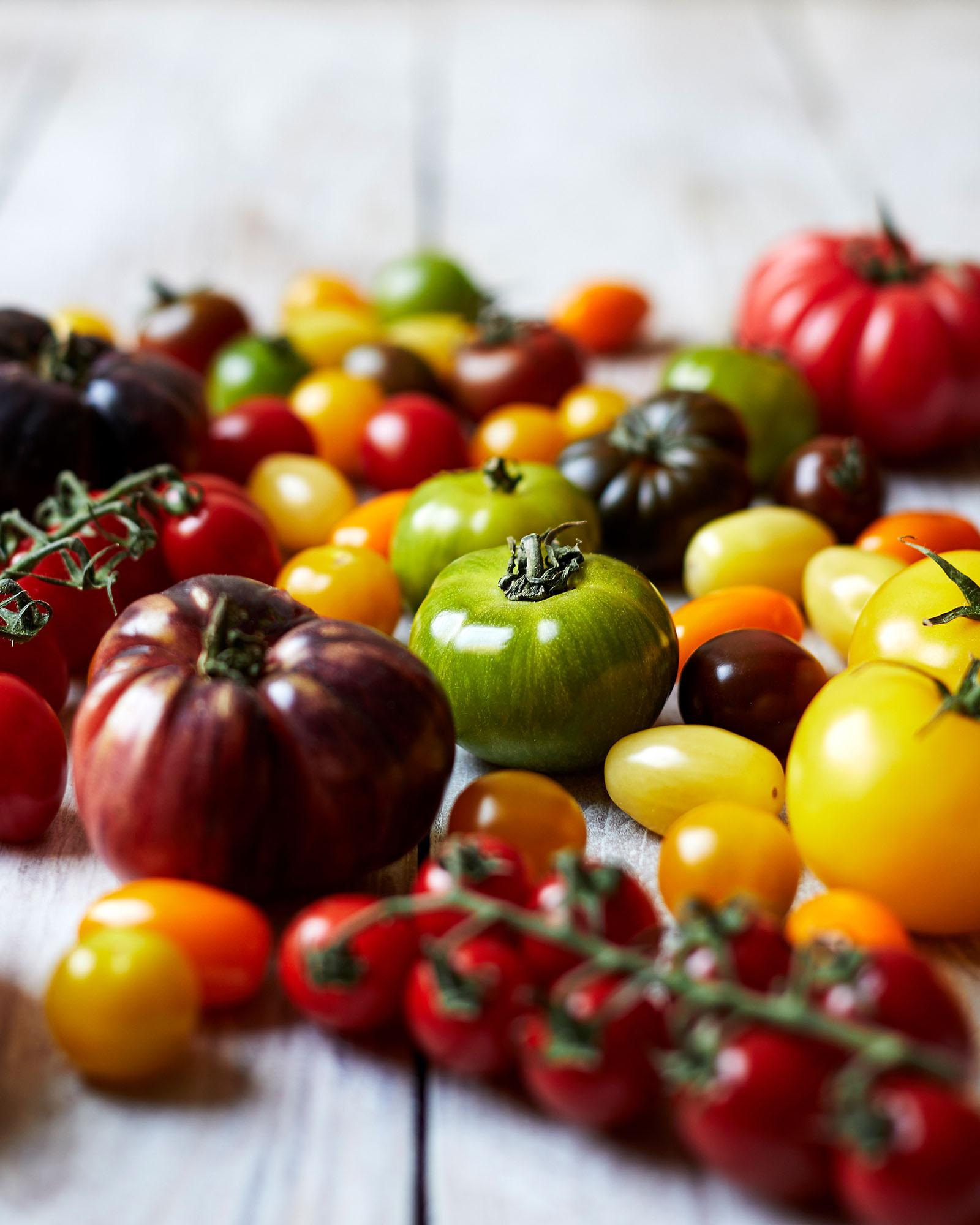 A vibrant and diverse selection of variously sized, shaped, and colored tomatoes, including red, green, yellow, and orange varieties, arranged on a white surface.