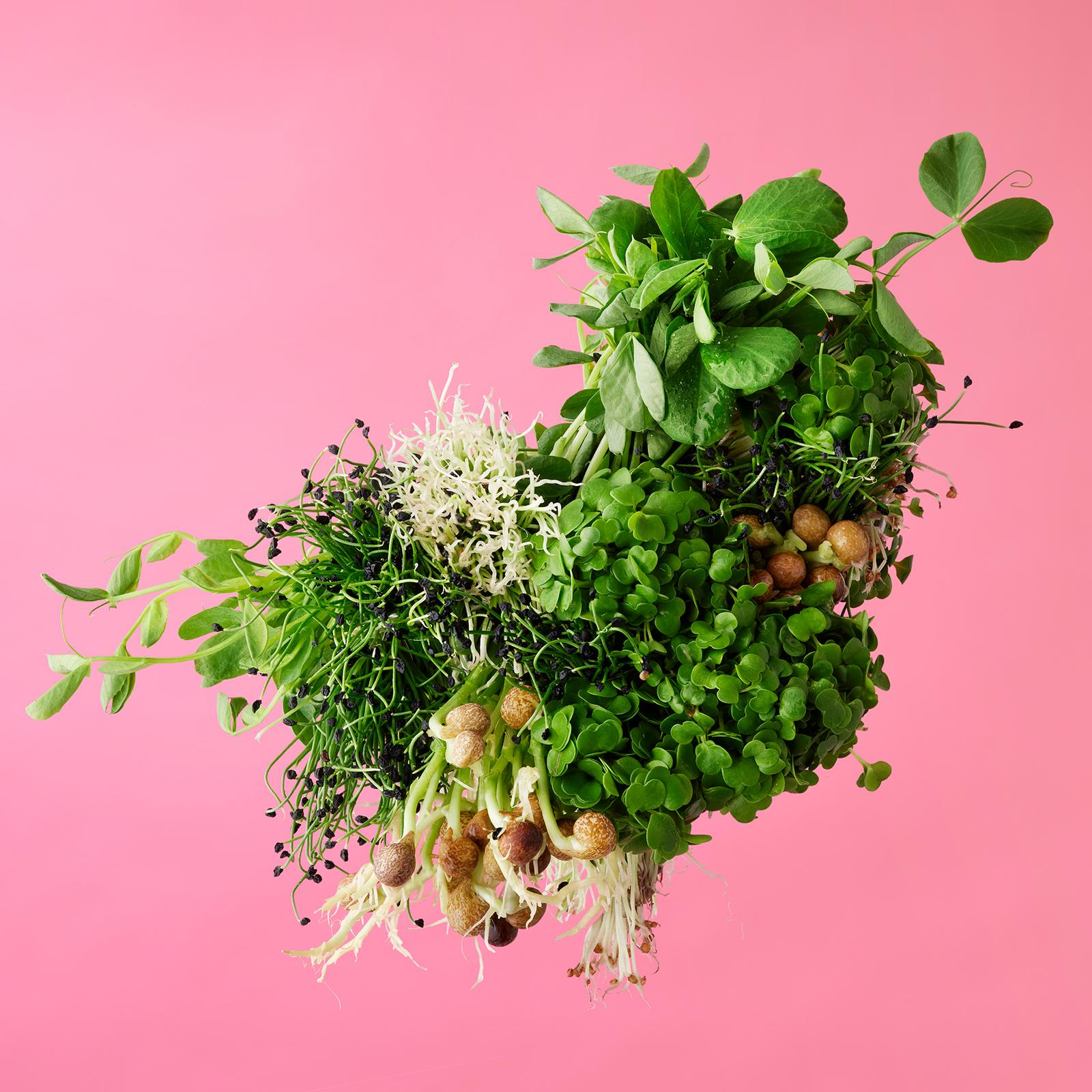 A selection of fresh greens, herbs, and mushrooms arranged in a decorative pattern on a white background.