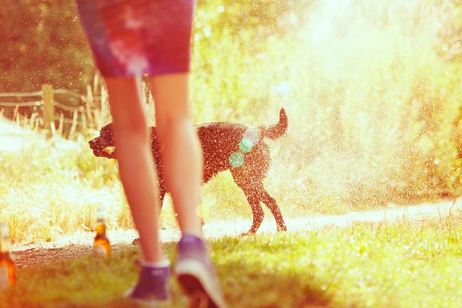 A person in a red and blue striped shirt and shorts is running in a park, with a black dog running alongside them.