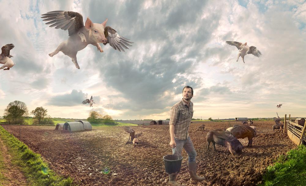 A man in a farm field surrounded by various animals, including a flying pig and a flock of birds.