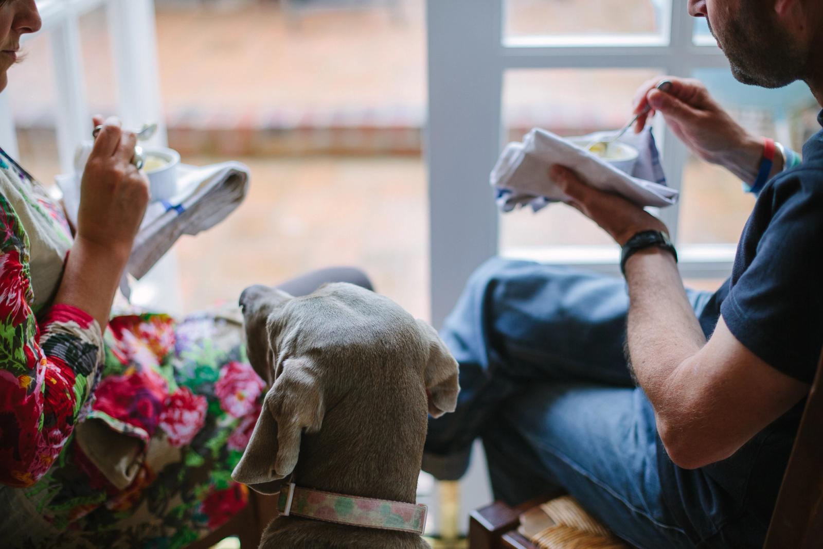 A woman in a floral dress and a man in a blue shirt are sitting on a couch, eating food, with a dog sitting between them.