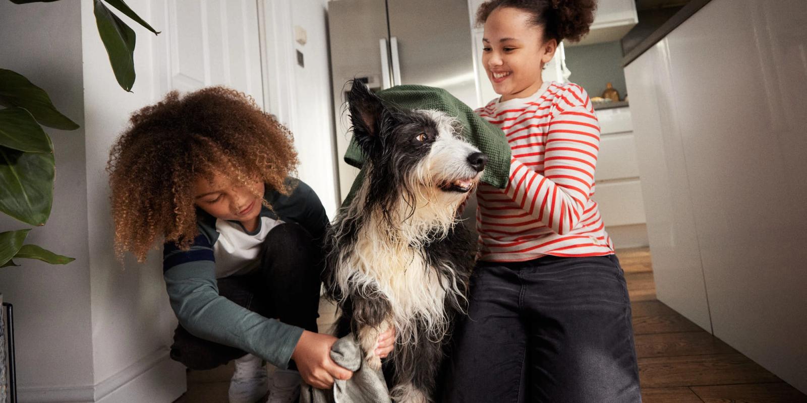A young girl with curly hair is holding a dog's head in her hands, both of them smiling. The girl is wearing a red and white striped shirt, and the dog is wearing a green hat.