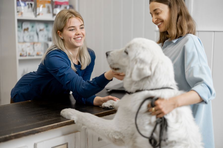 Hero afbeelding voor een-eigen-dierenpraktijk-starten