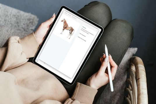 Anatomische tekeningen