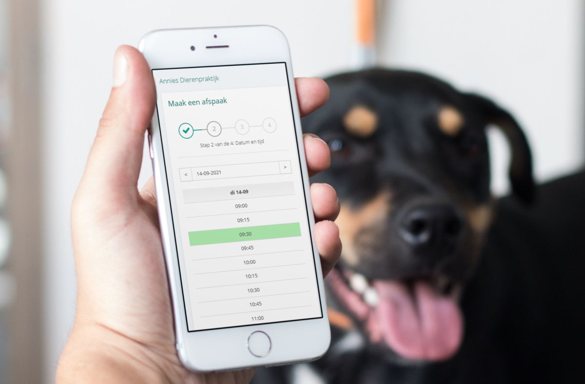 Hero afbeelding voor online-afspraken-via-een-knop-of-link-op-je-website