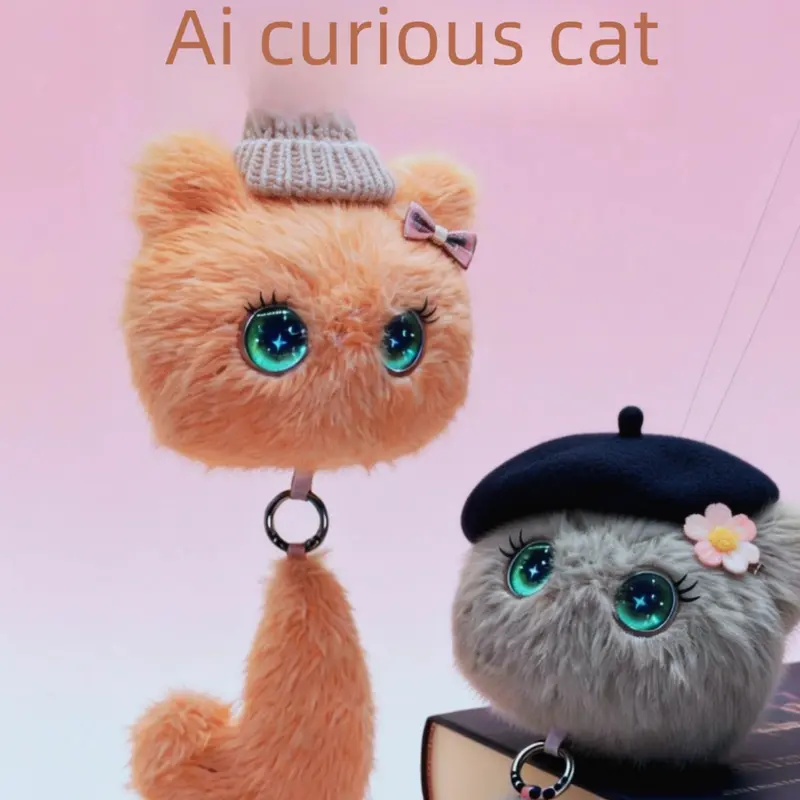 Curious Cat 2
