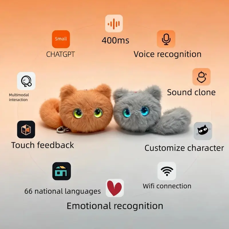 Curious Cat 3