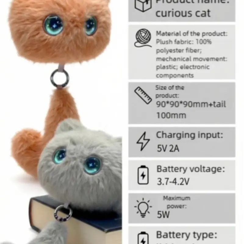 Curious Cat 7