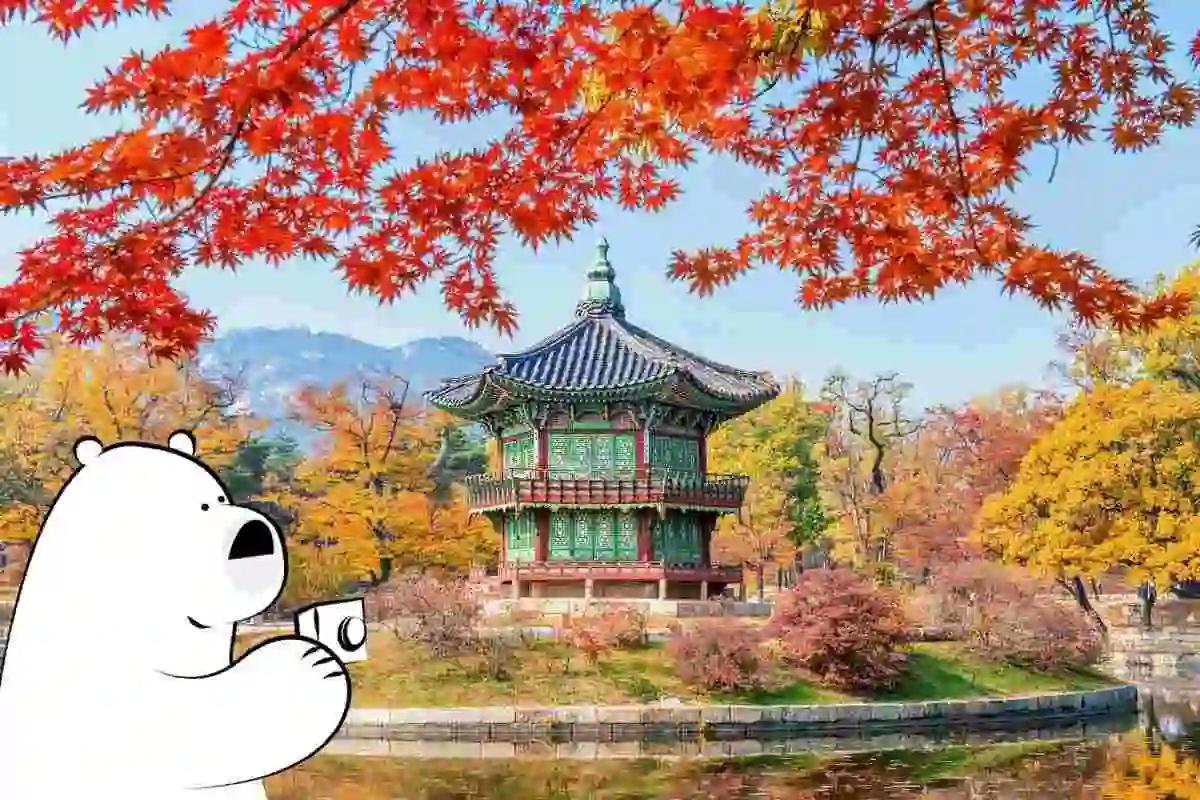 Can You Visit North Korea?