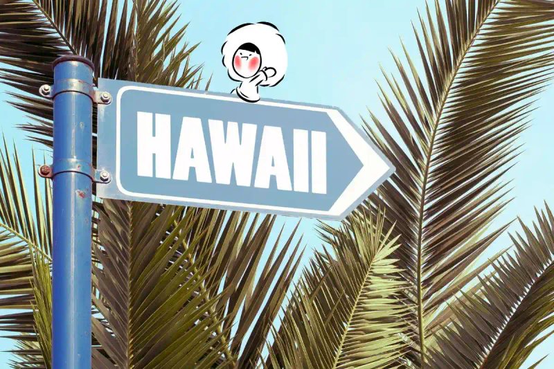 Why Everyone Loves Holidaying in Hawaii