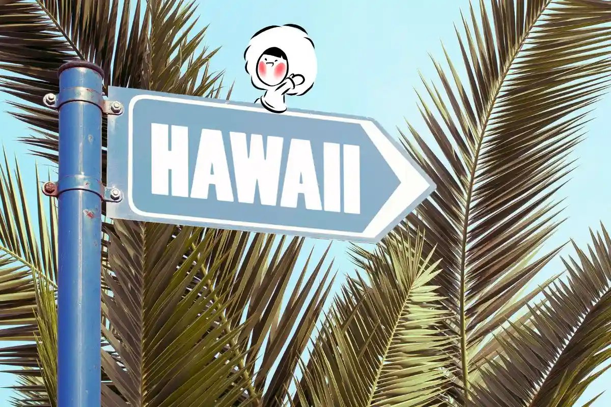 Why Everyone Loves Holidaying in Hawaii