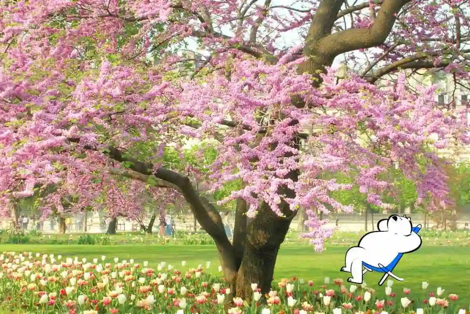 The Best Countries to Visit in Spring