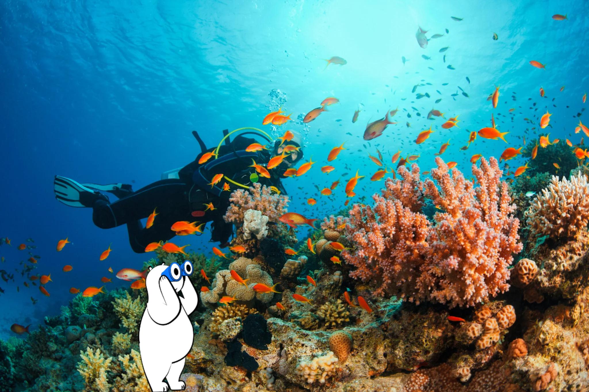 The Best Places for Scuba Diving in the World