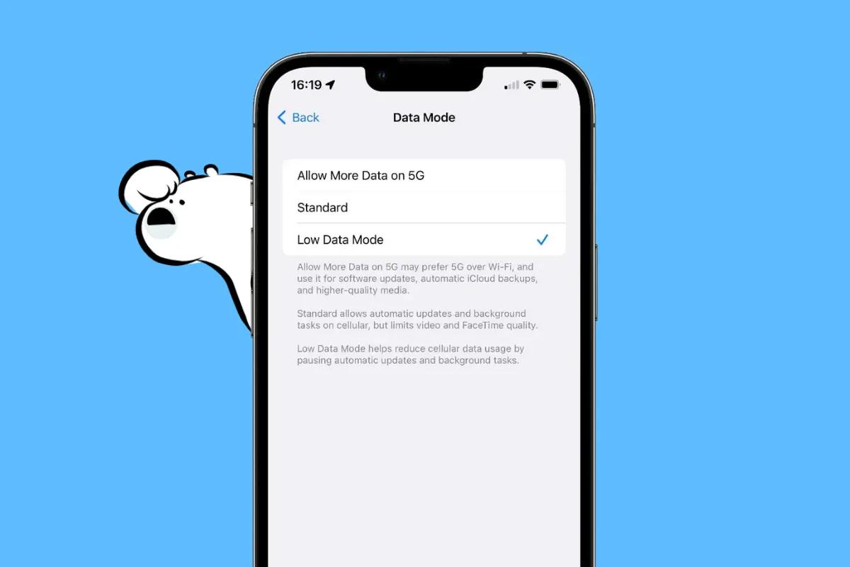 What is Low Data Mode on iPhone. Settings page for iPhone low data mode