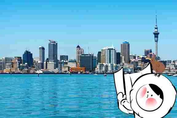 New Zealand Road Trip Details