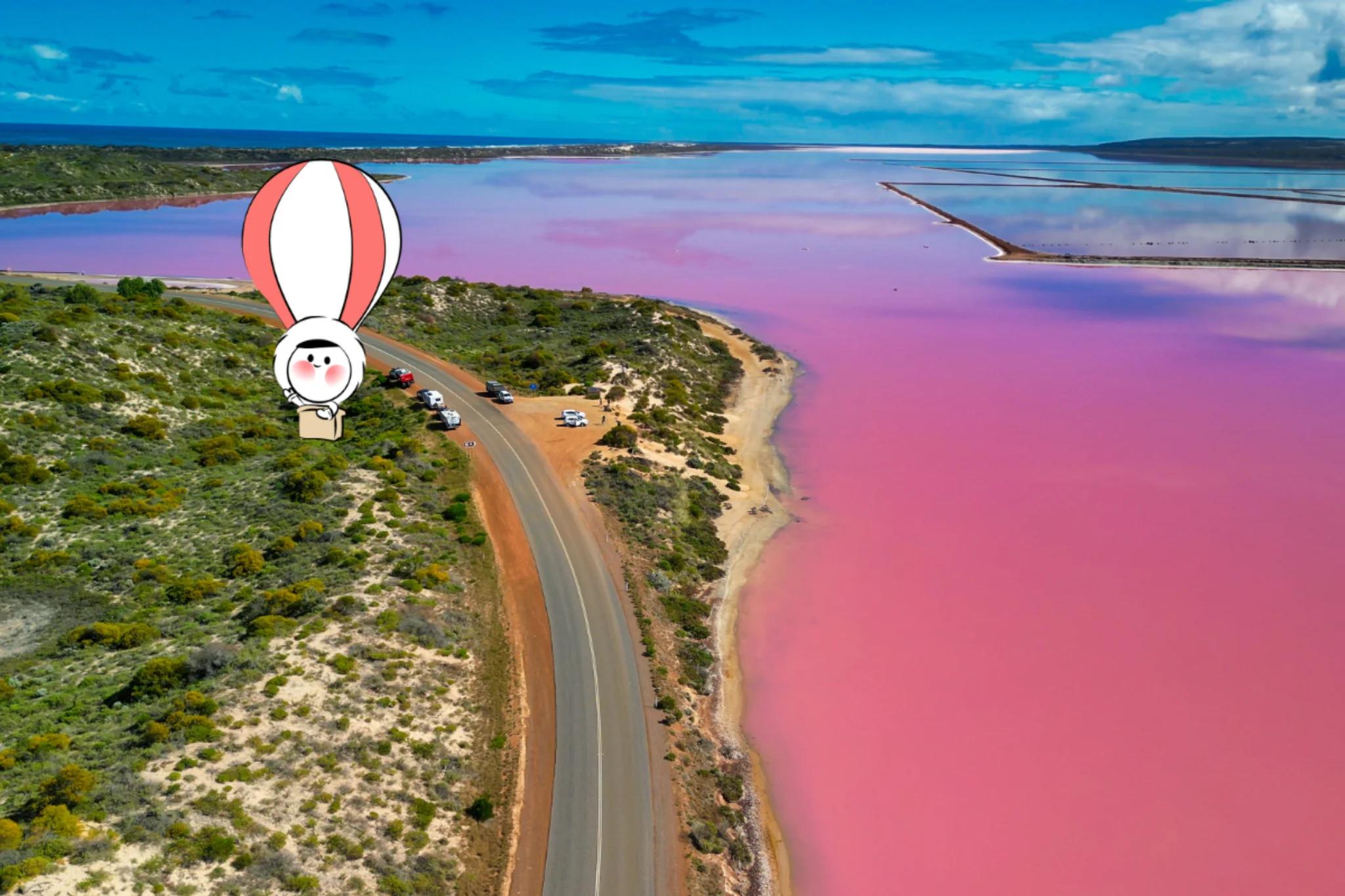 Aerial view of a vivid pink lake beside a coastal road and low green vegetation under a blue sky.