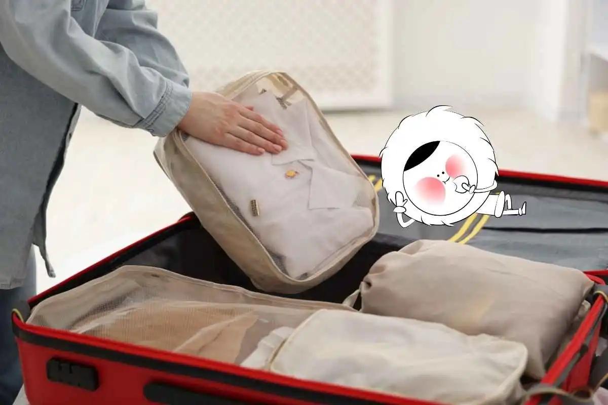 Do Packing Cubes Really Help You Pack Neatly?