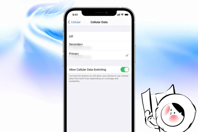 Best Time to Allow Cellular Data Switching