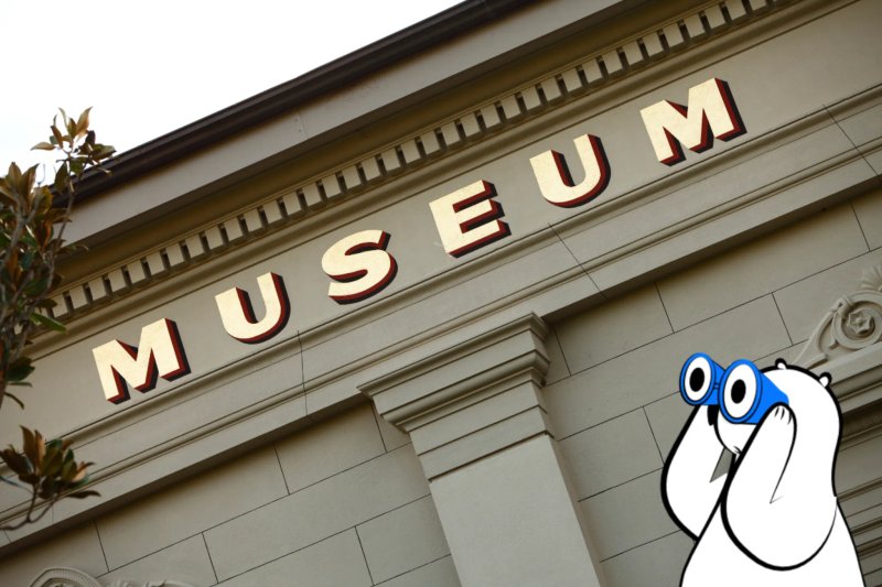 Best Museums to Visit in the World