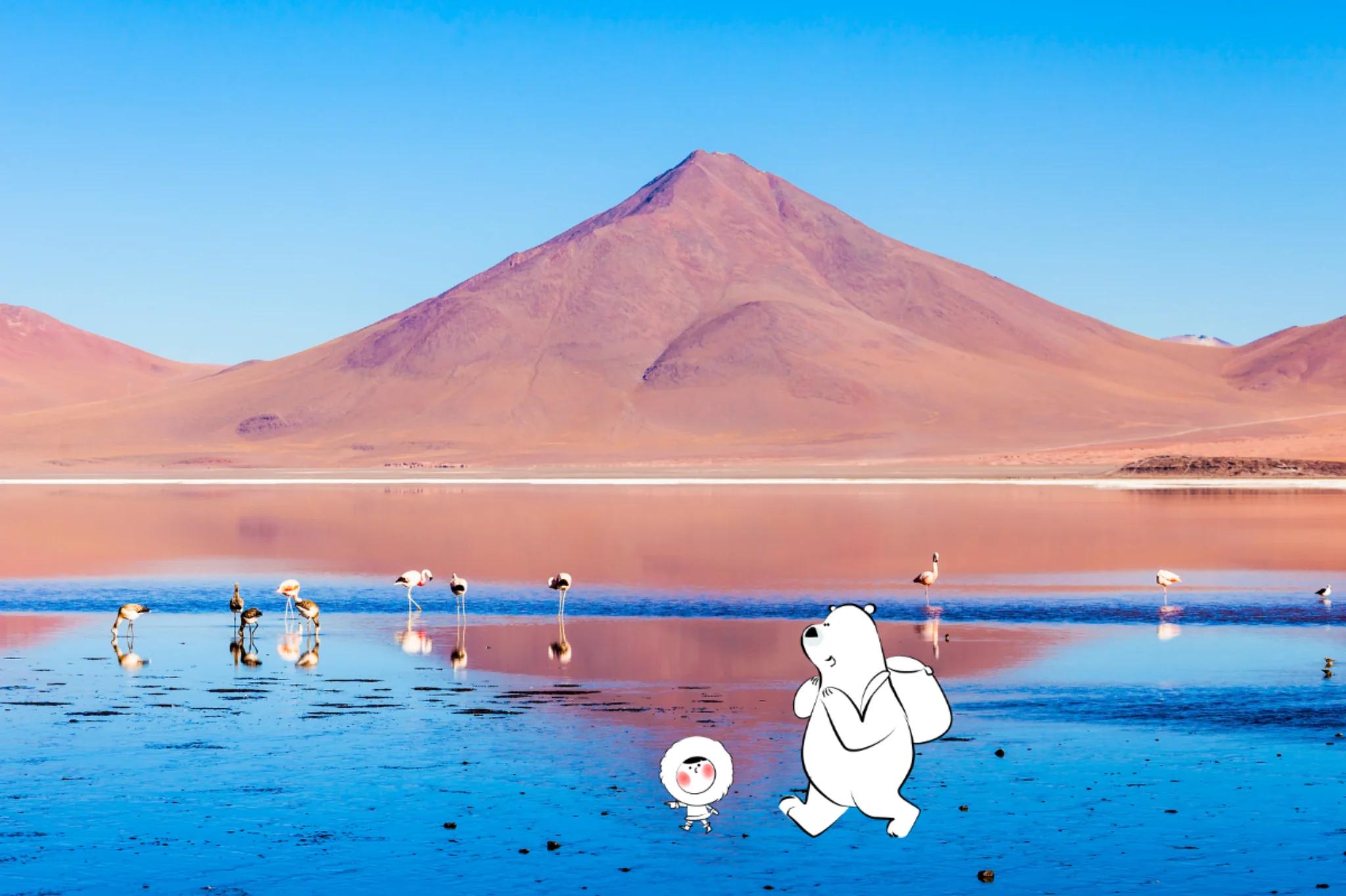 Shallow red-pink lake with flamingos wading in the water and an arid high-altitude landscape beyond.