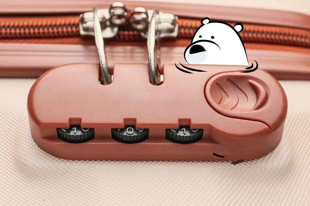 Should I Use a TSA Lock for Baggage When Traveling?