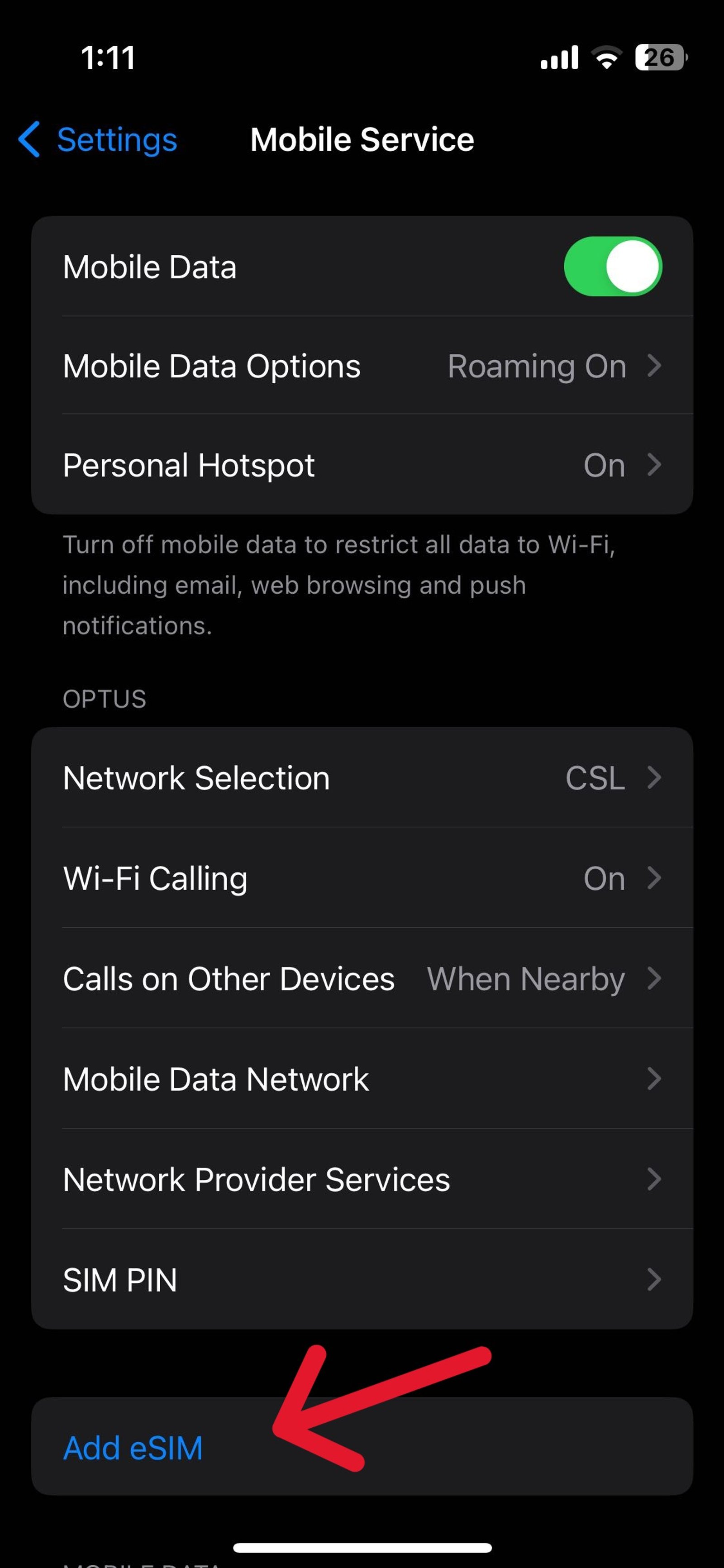 iOS Mobile Service page showing an Add eSIM option, confirming eSIM compatibility