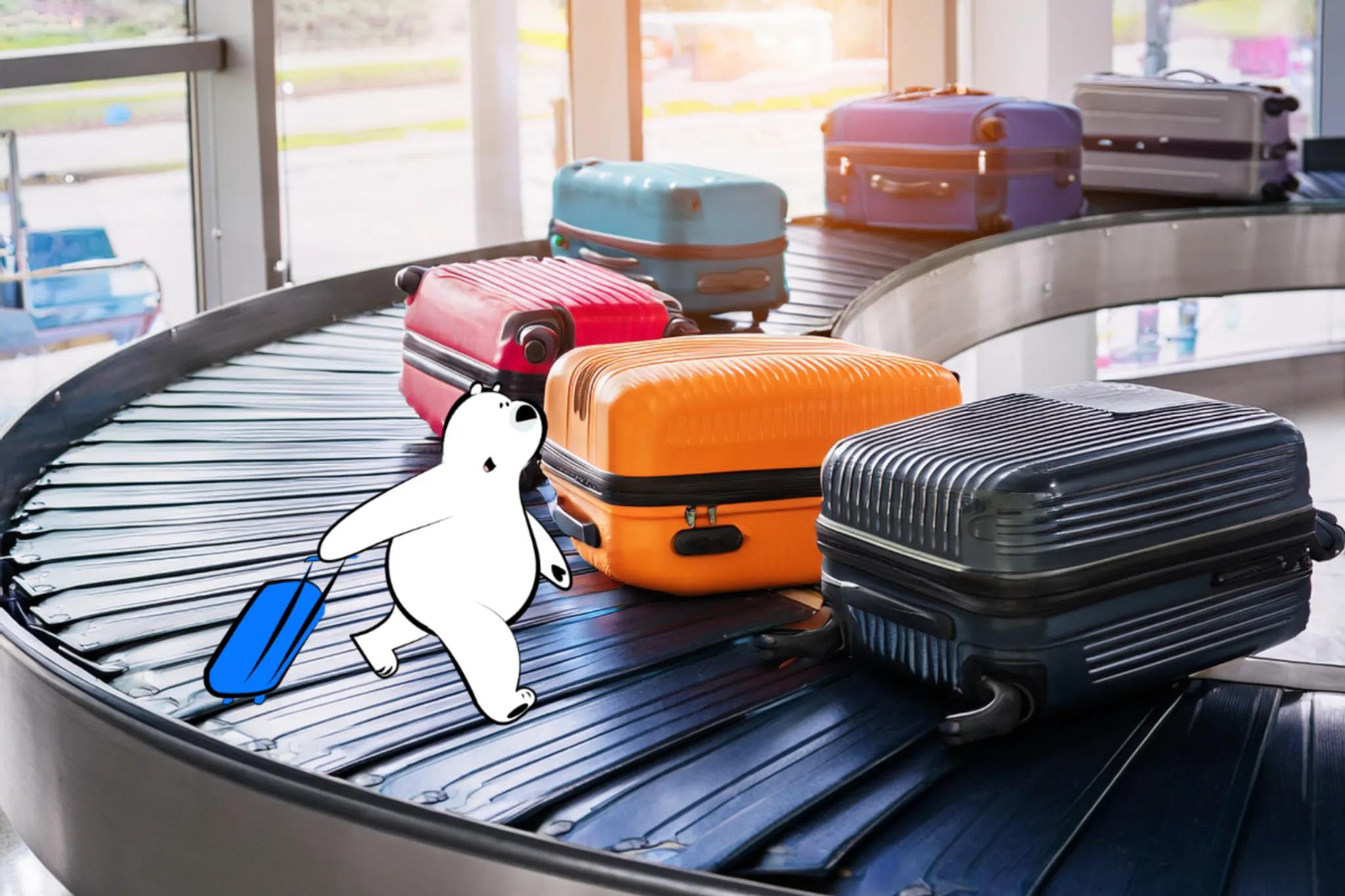 What Happens to Unclaimed Luggage? Unclaimed Baggage Guide