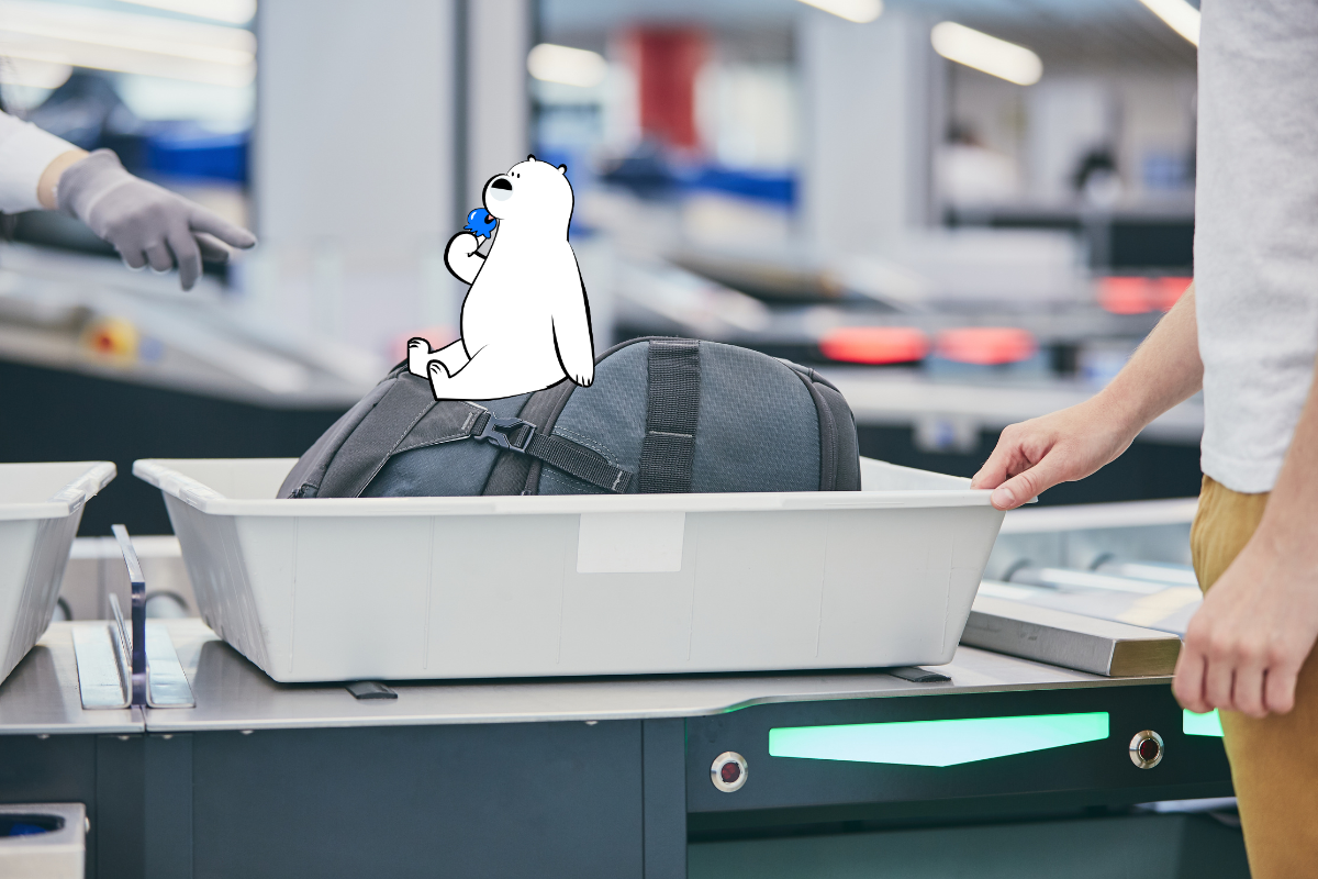 Can You Bring Food Through TSA? What’s Allowed in Carry-Ons and Checked Bags