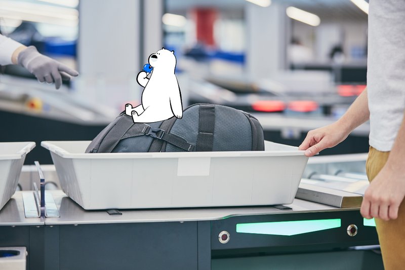 Can You Bring Food Through TSA? What’s Allowed in Carry-Ons and Checked Bags