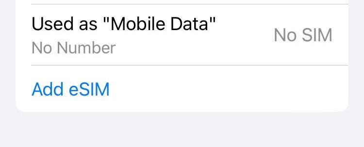 Deleted eSIM on iOS now showing No SIM