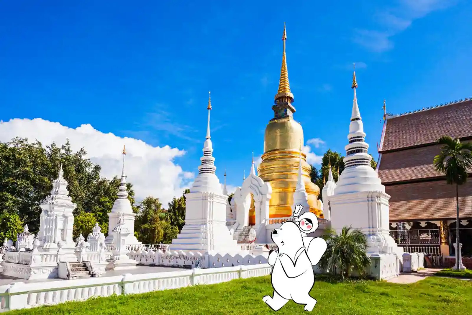 Golden stupa and white pagodas at a Chiang Mai temple under a bright blue sky, with Eskimo’s travel mascot walking peacefully on the grass.