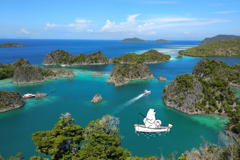 Best Diving Spots in Indonesia: Top Scuba Destinations Guide