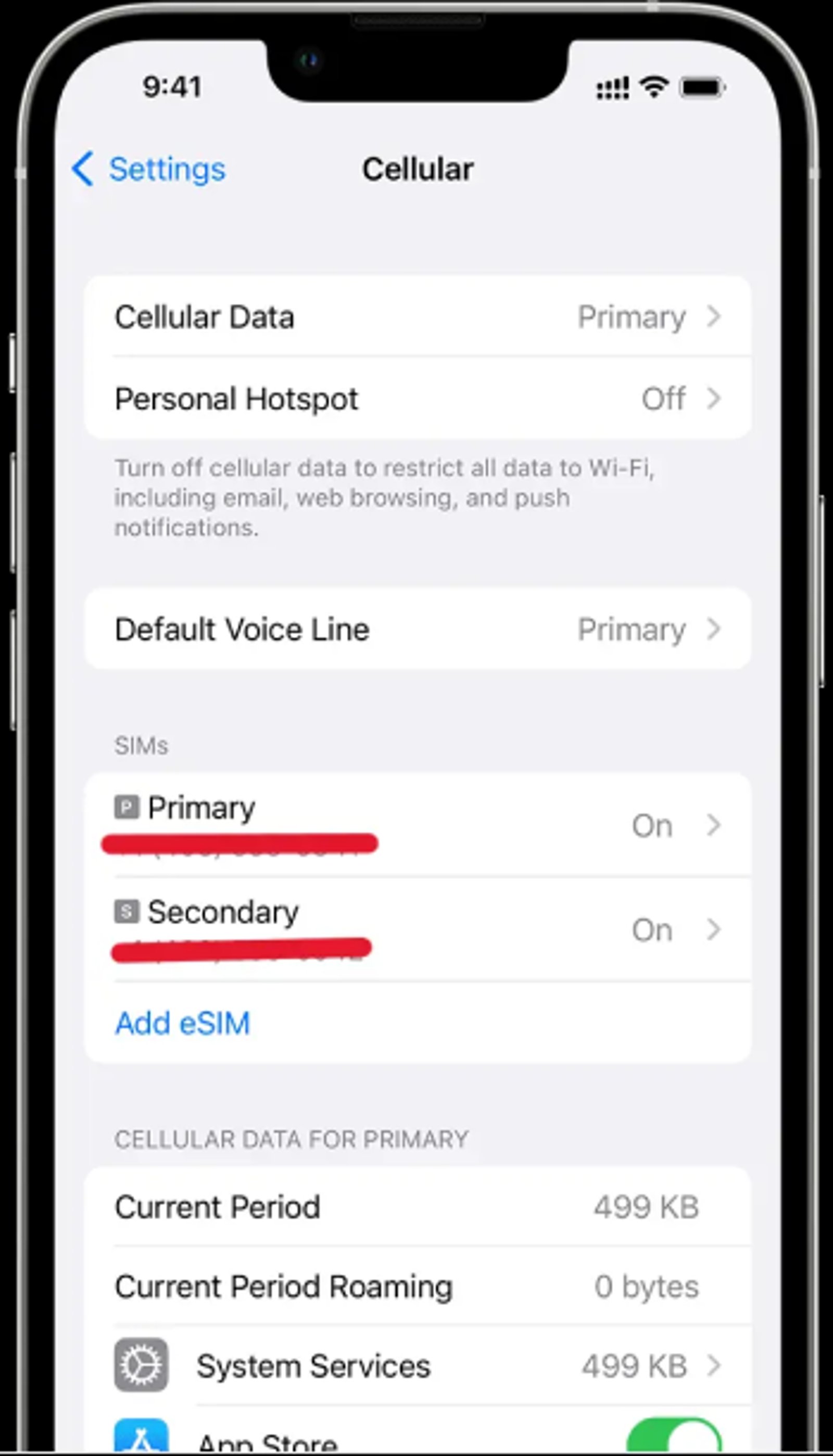 An iPhone on an older iOS version showing Cellular instead of Mobile Service