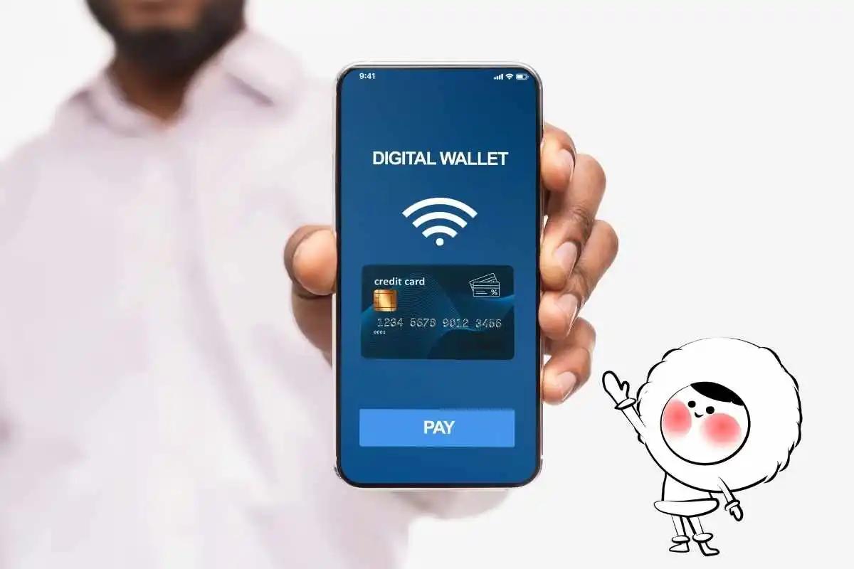 Which Countries Already Use Digital Wallets for Travelers?