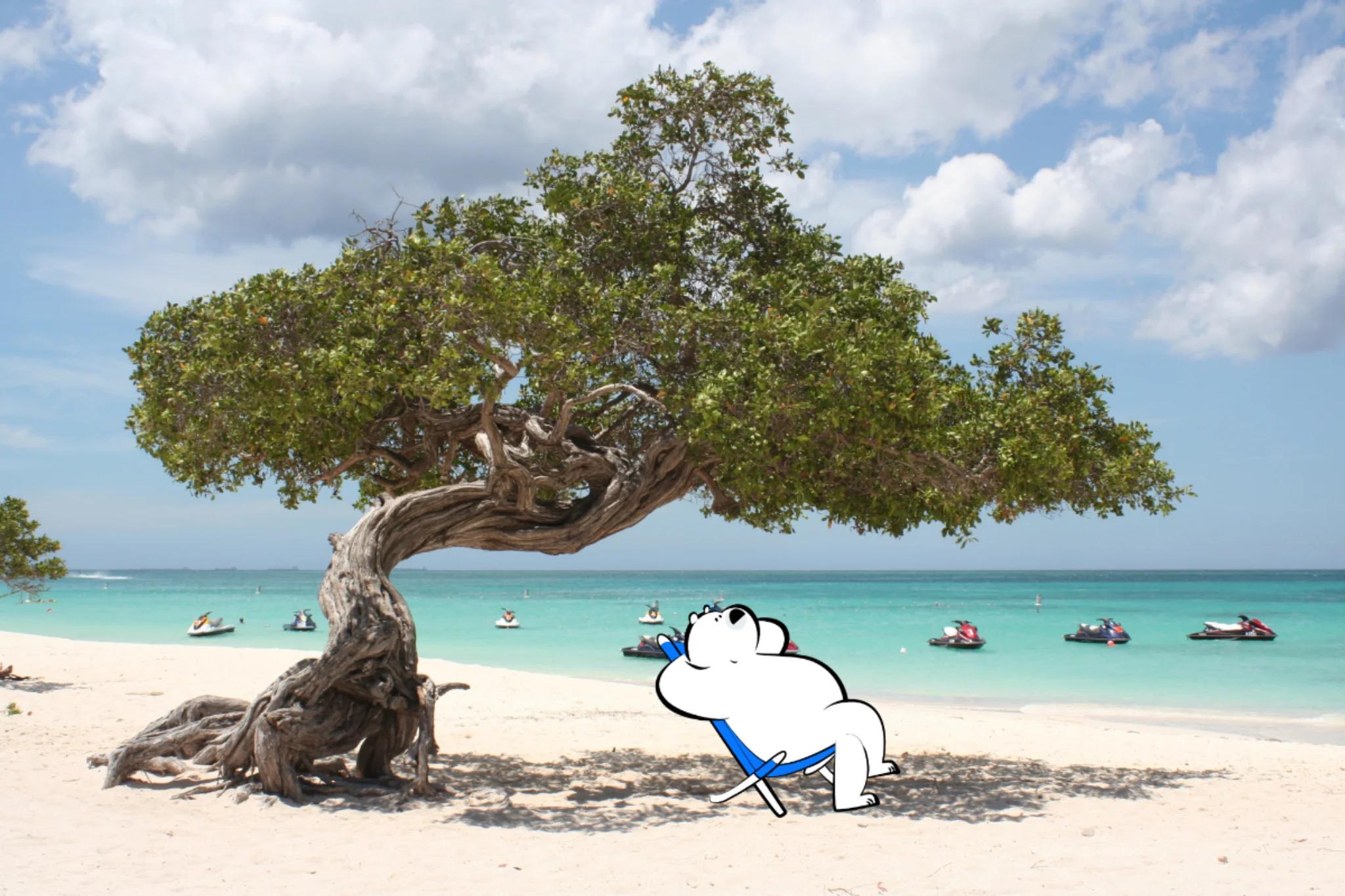 Best Islands to Visit in 2026: 9 Top Picks