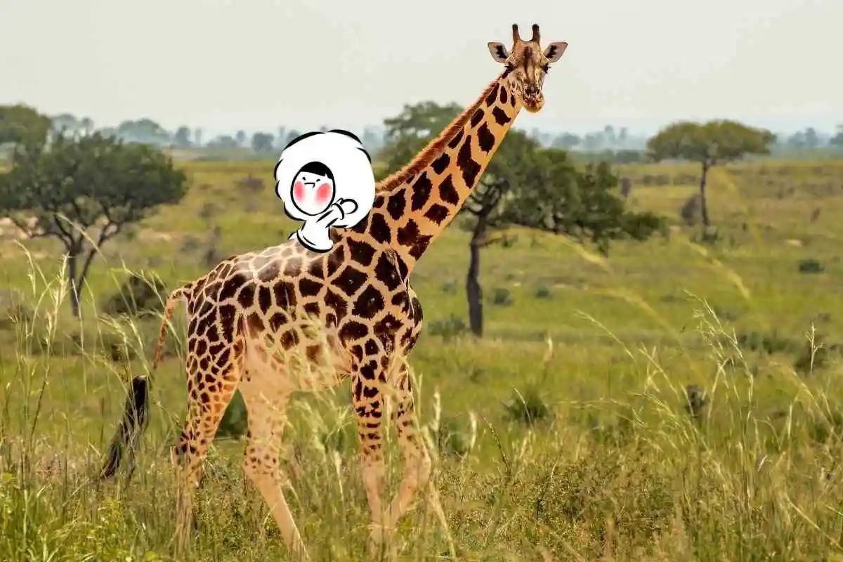 The Most Visited Countries in Africa