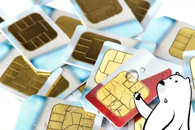 SIM Card Not Working? What to Do if SIM Cards Go Bad