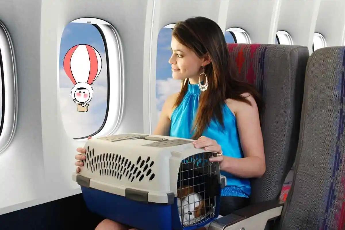 Which Airlines Have Facilities for Carrying Animals/Pets?