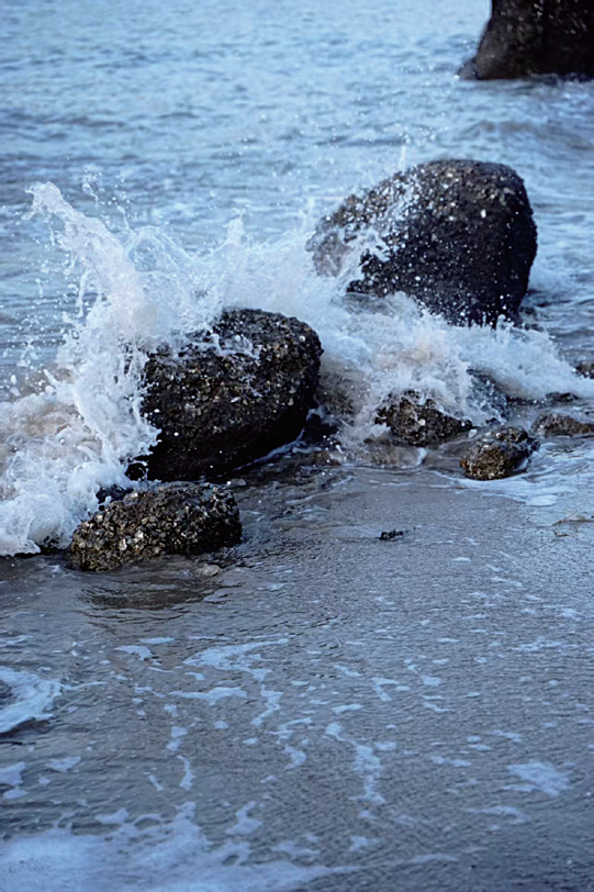 潮起大灣 (散文詩四章)