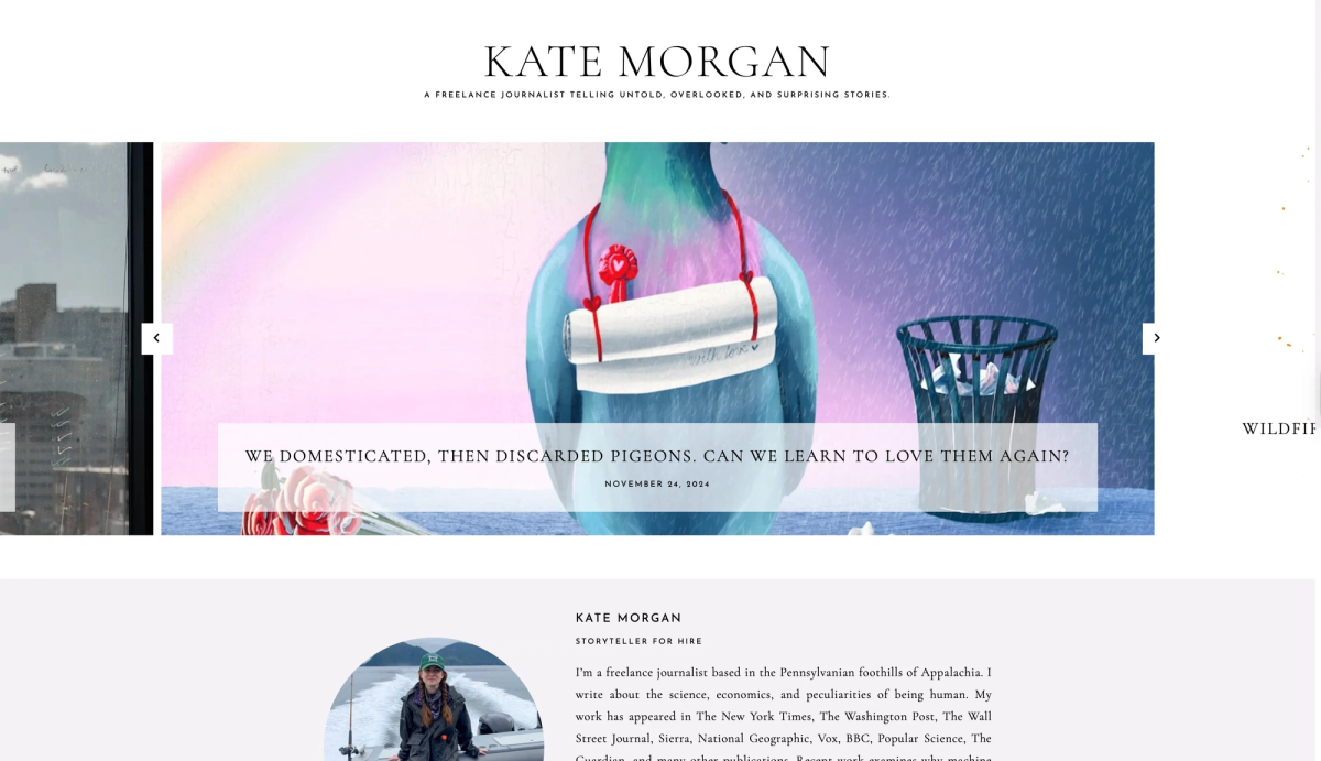 Kate Morgan portfolio
