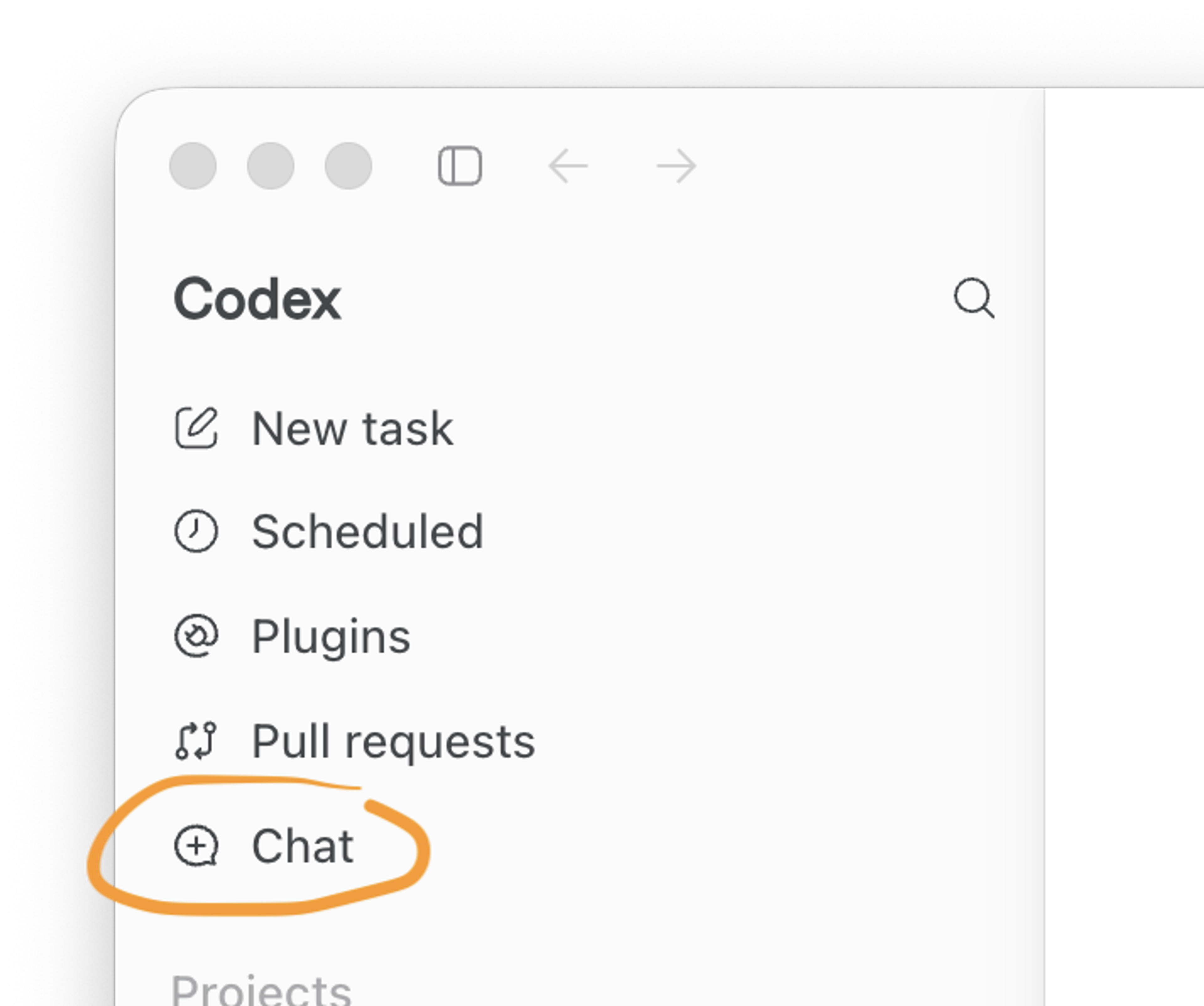 Codex new chat