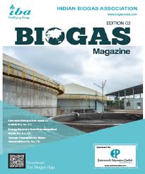 Etude de faisabilité du Programme national de biodigesteur au Togo 